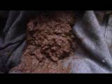 panthergodess - Wolle Shorts Poop