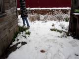 rushscat - Sie scheißen auf der Straße, wenn es schneit.