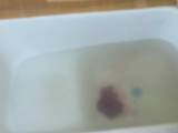 rushscat - Sie Scheiße im Badewasser