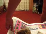 rushscat - Das Mädchen mit einem großen ass shit auf einer Zeitung.
