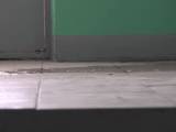 rushscat - Dickes Mädchen zog die Strumpfhose und begann im Treppenhaus zu pissen.