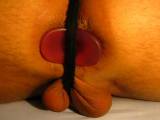 sinnerman77 - Assplug