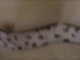 smfreund60 - extreff privat. smfreund60 - extreff privat.