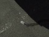 spritzigefee - Pissen am Parkplatz 1