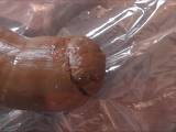 wetgina - Langer glatter Kackbolzen